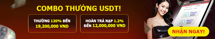 usdtrebat